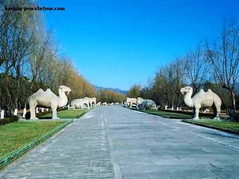 Tips for Impressive Beijing Tour of Sacred Way